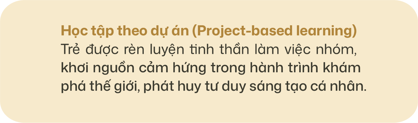 Asset 8